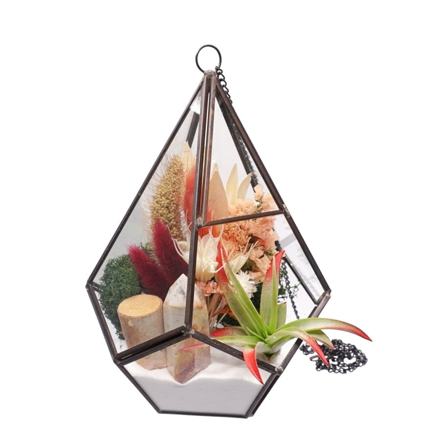 Grand Terrarium Victorien avec une plante aérienne et tour d'agate en dentelle.