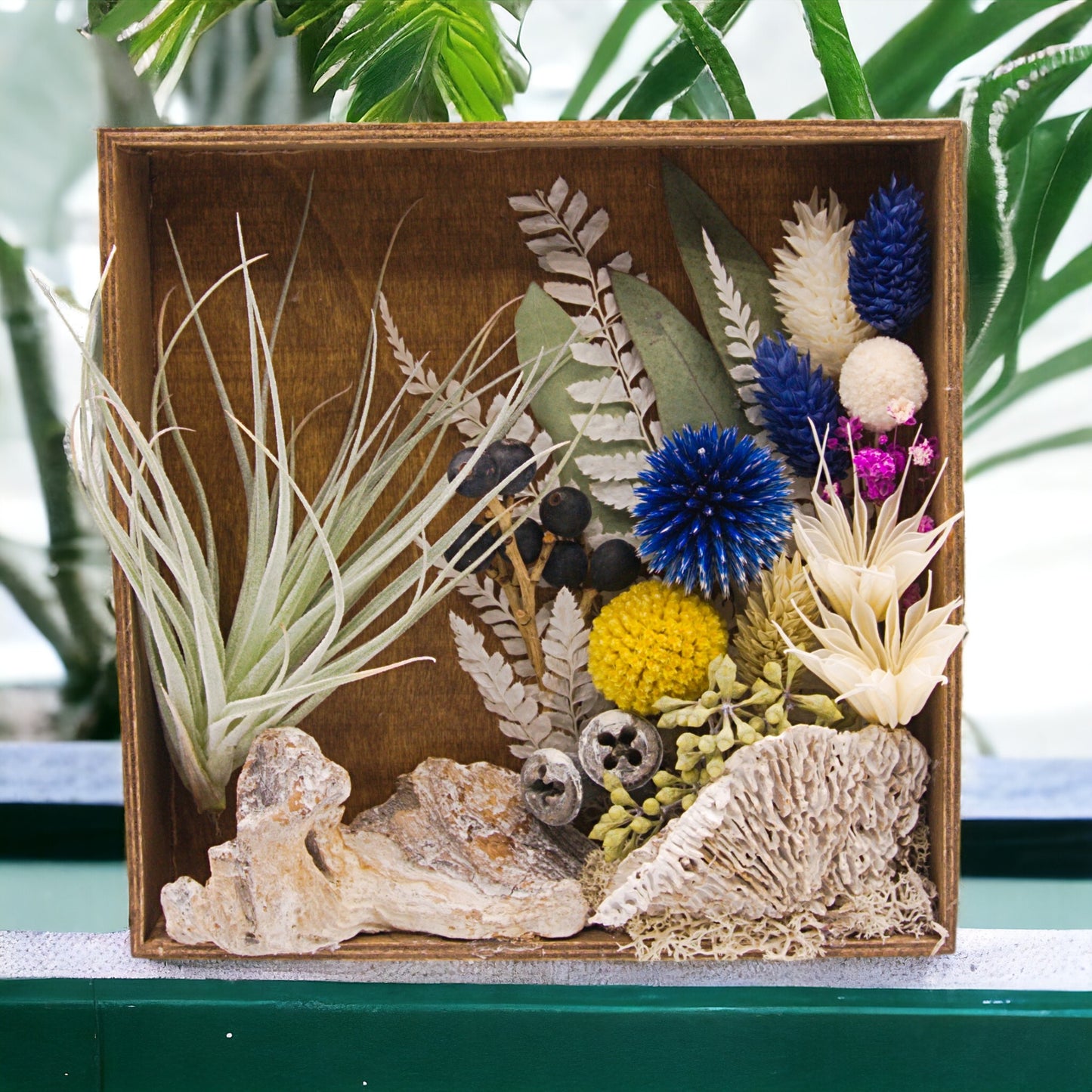 Airplant Art Frames - Square Blue Flowers