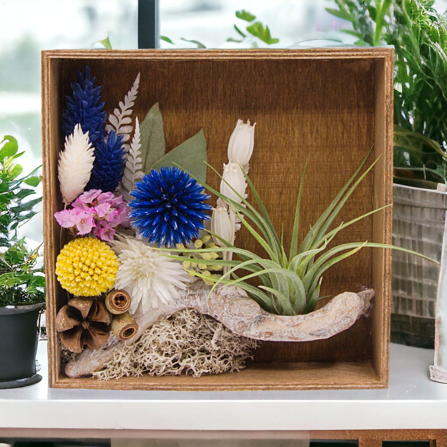 Airplant Art Frames - Square Blue Flowers