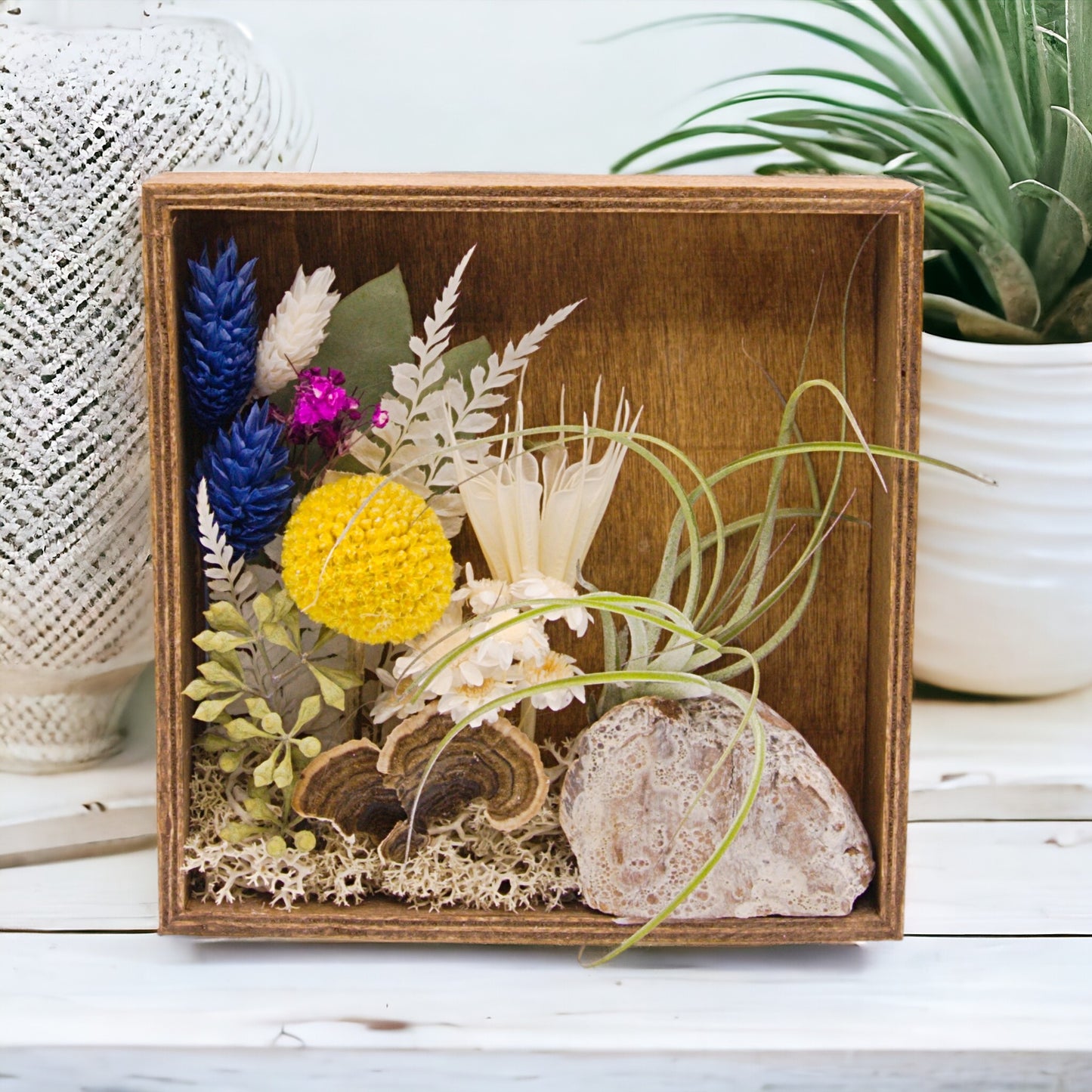 Airplant Art Frames - Square Blue Flowers