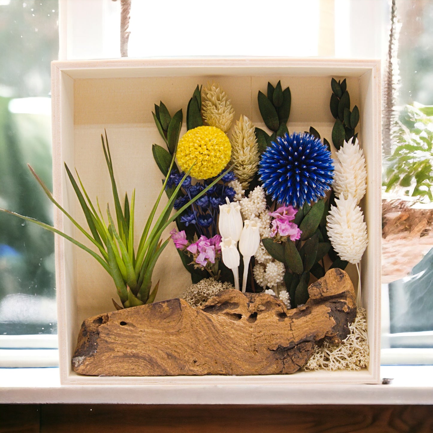 Airplant Art Frames - Square Blue Flowers