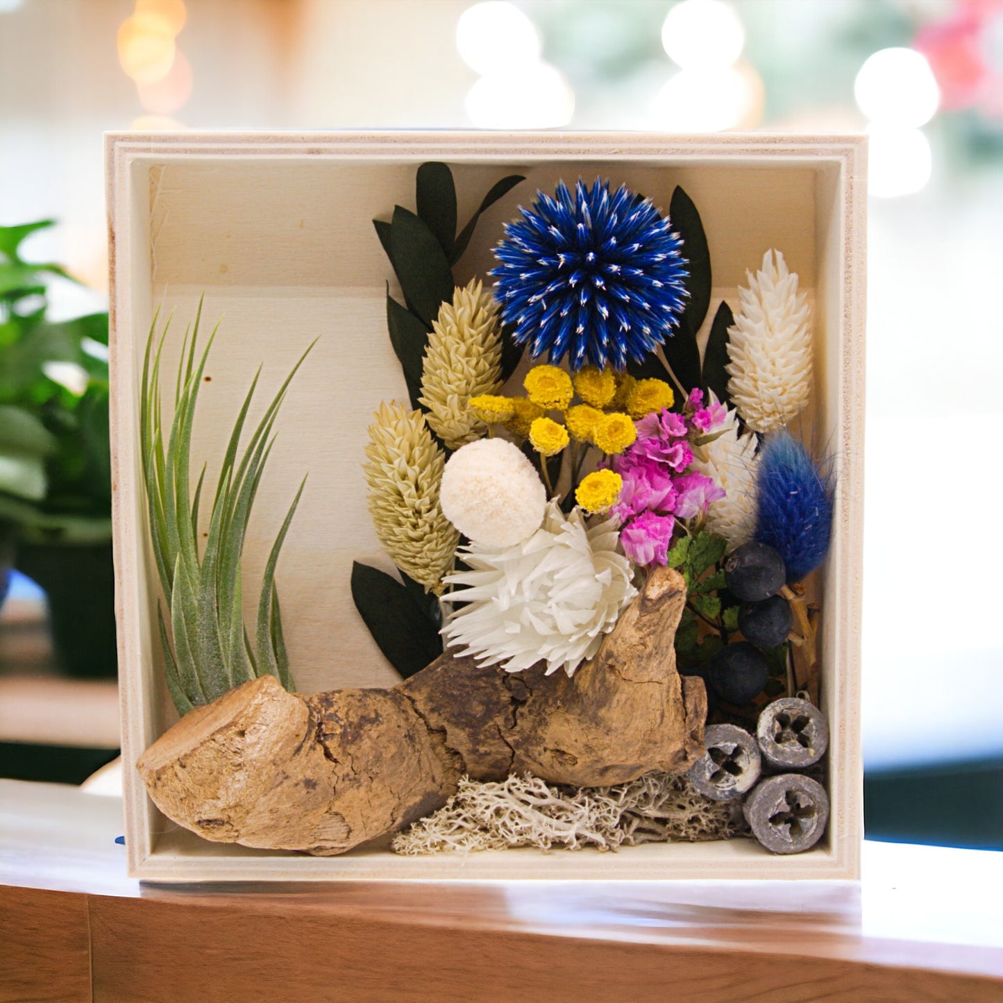 Airplant Art Frames - Square Blue Flowers