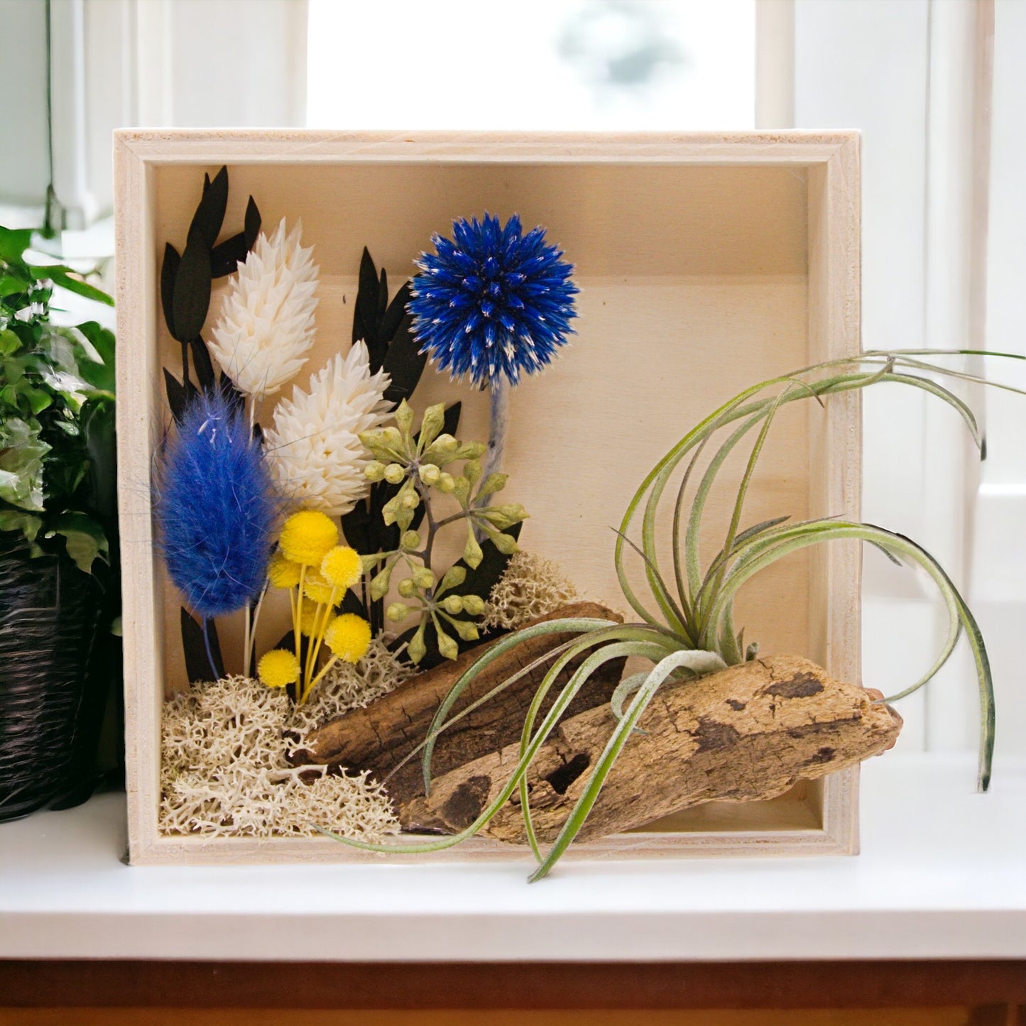Airplant Art Frames - Square Blue Flowers