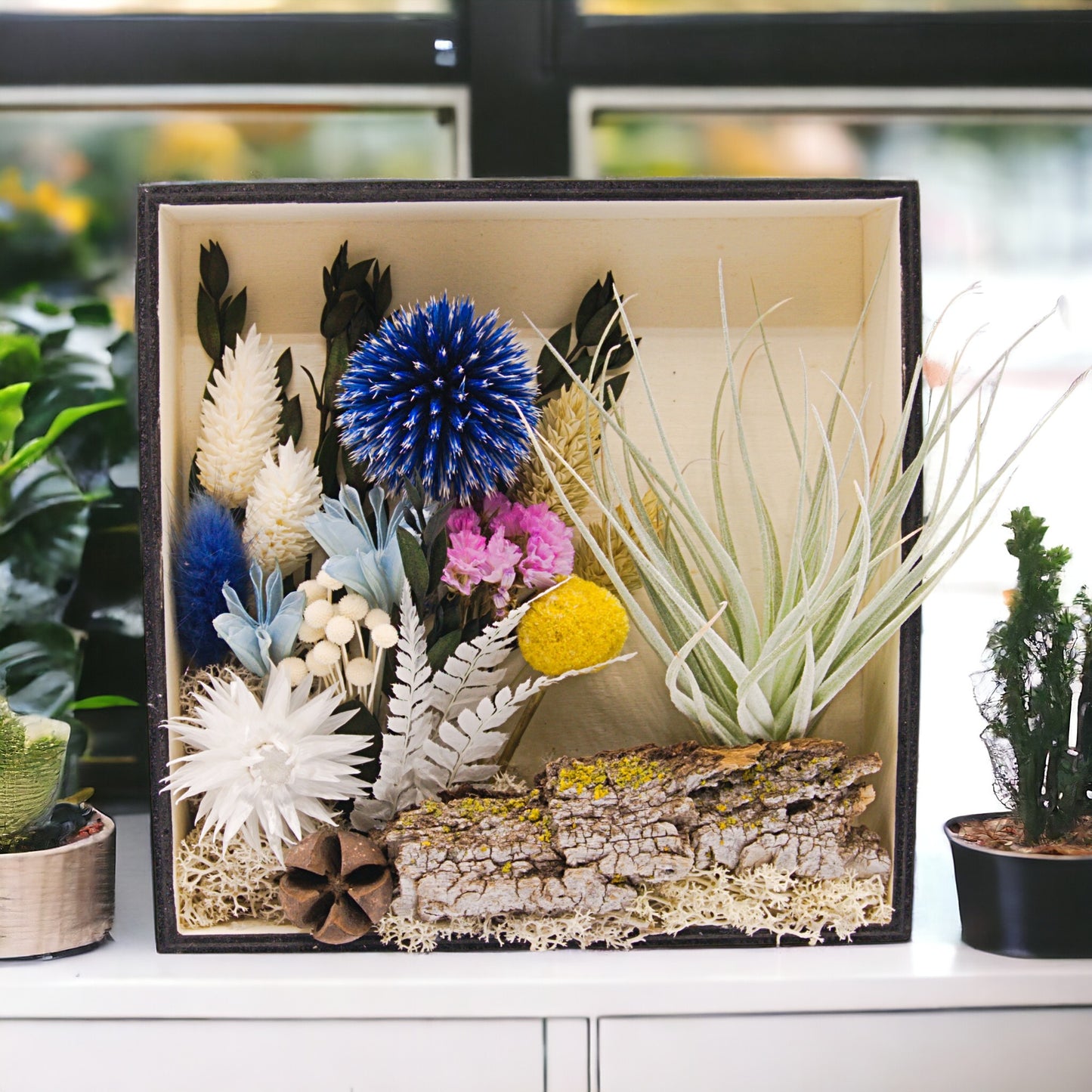 Airplant Art Frames - Square Blue Flowers