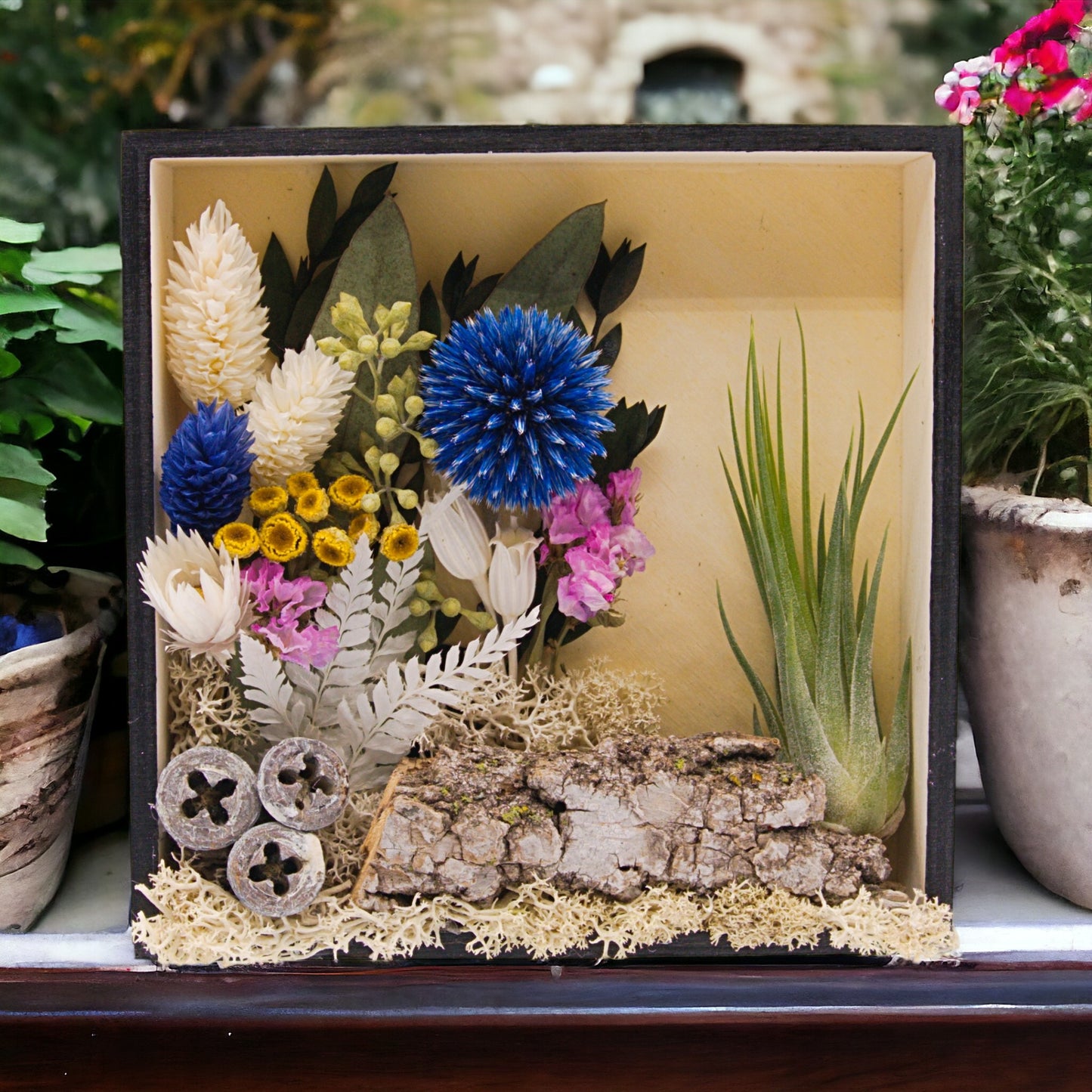 Airplant Art Frames - Square Blue Flowers