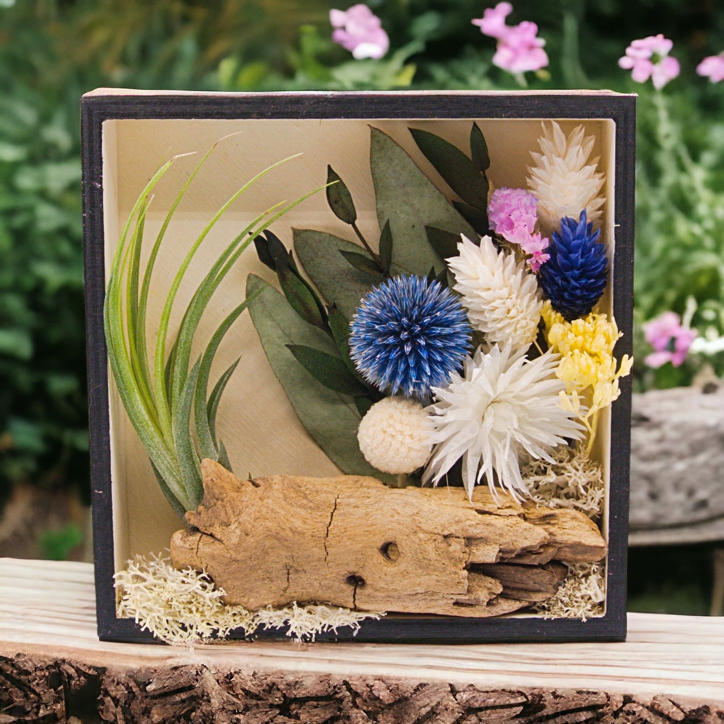Airplant Art Frames - Square Blue Flowers