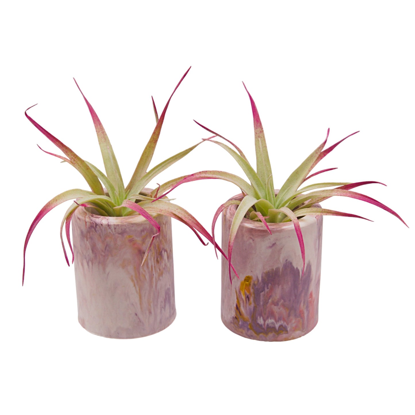 Sunset-inspired marbled hydrostone airplant pots