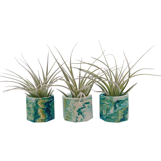 Monet-inspired marbled hydrostone airplant pots