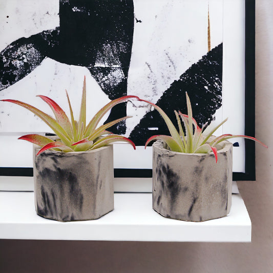 Black & grey marbled cement airplant pots