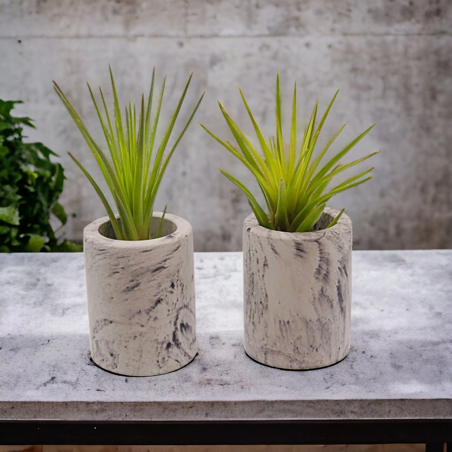 Black & grey marbled cement airplant pots