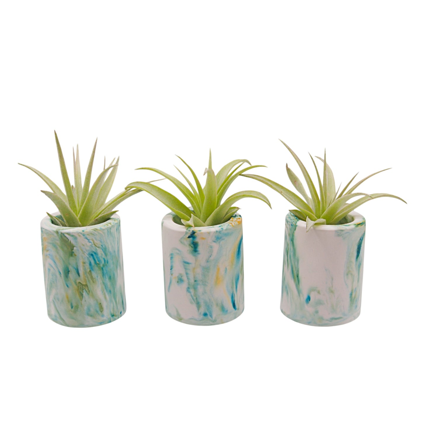 Monet-inspired marbled hydrostone airplant pots