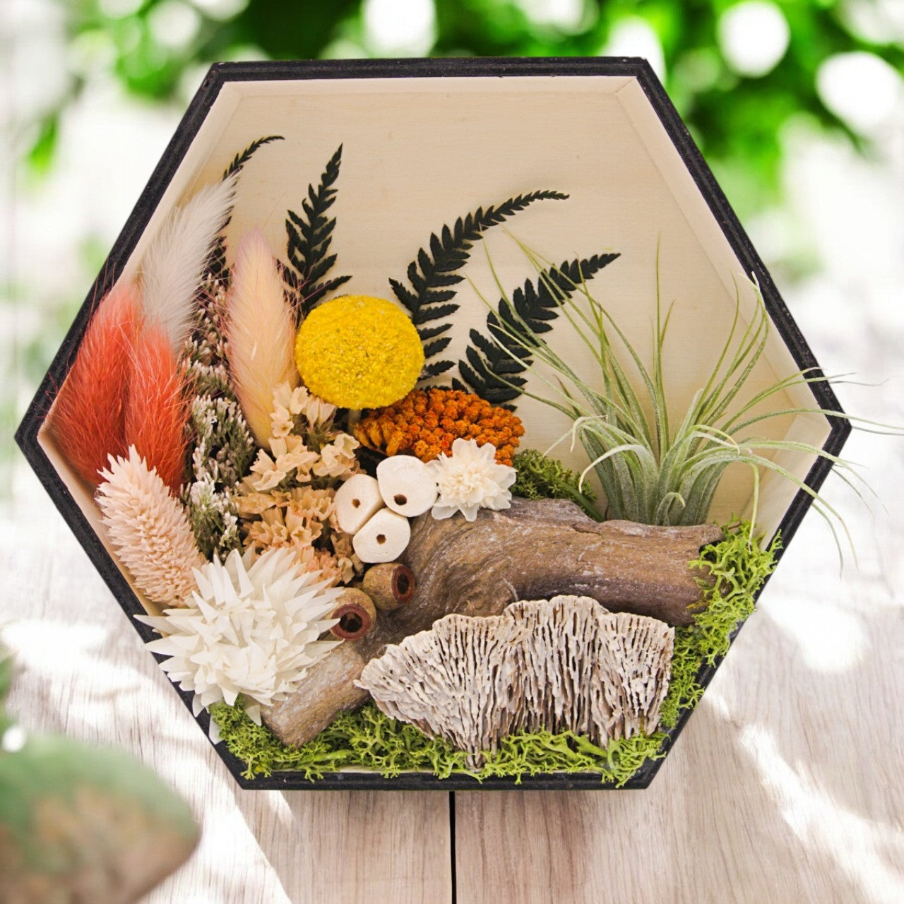 Airplant Art Frames - Hexagon Coral Flowers