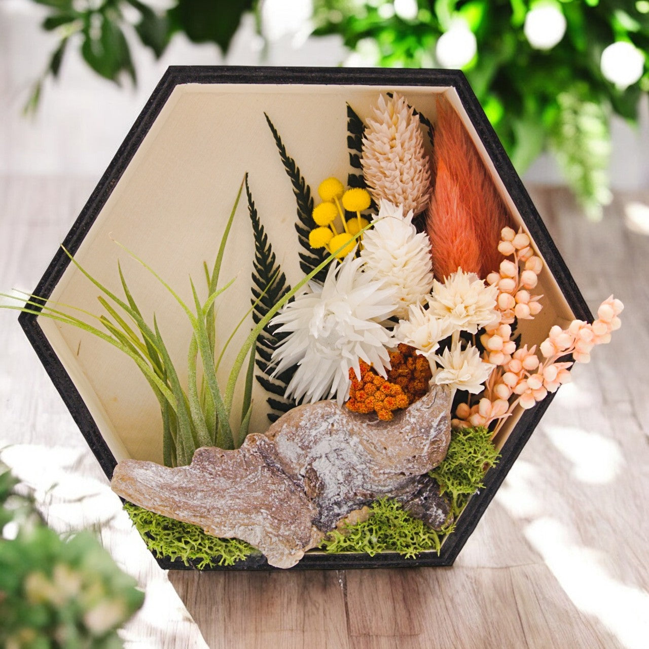 Airplant Art Frames - Hexagon Coral Flowers