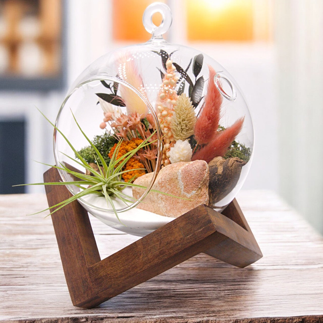 Terrarium à bulle avec une plante aérienne et grès paysage