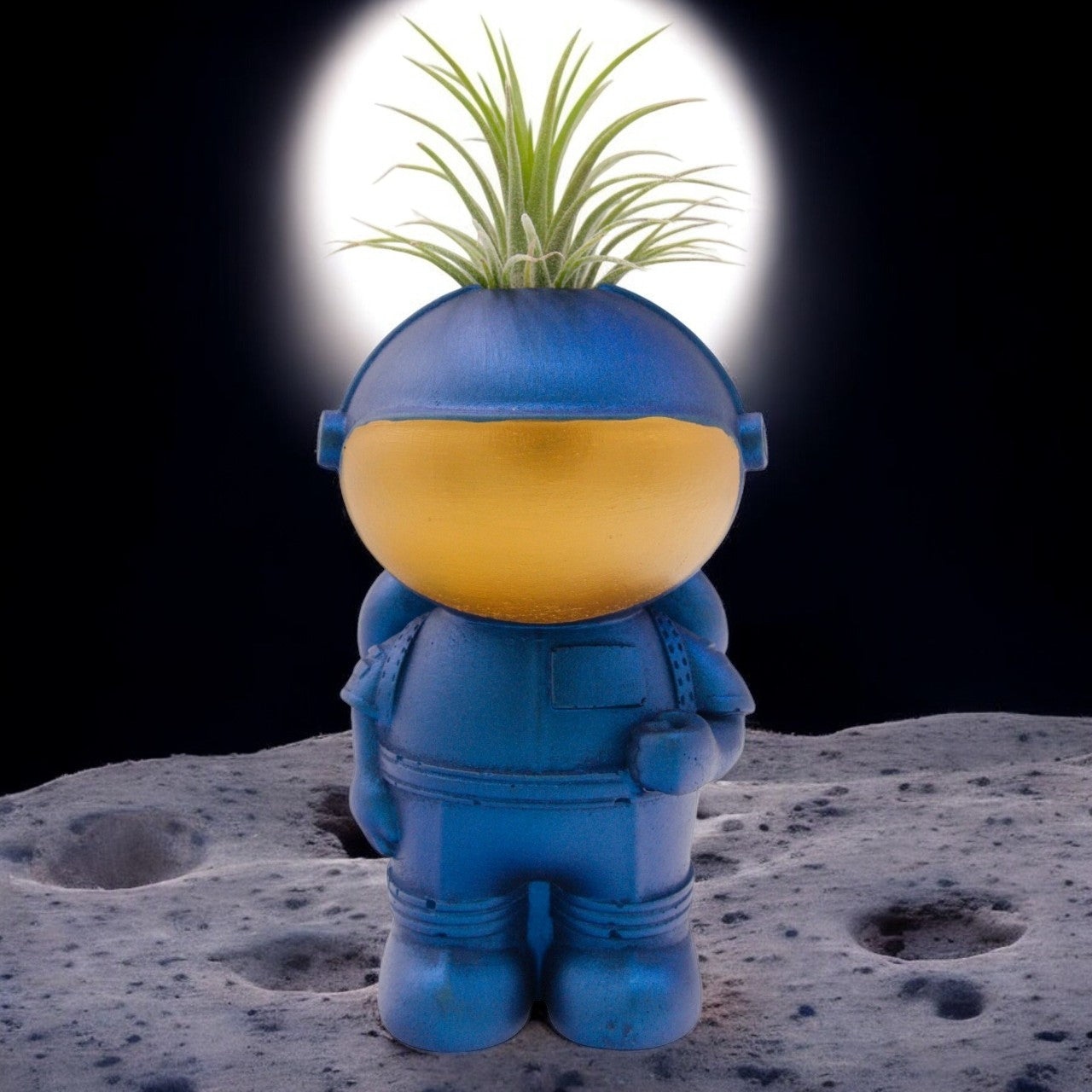 astronaut air plant Astronaut Airplant Pot – Plant Babies Terrariums