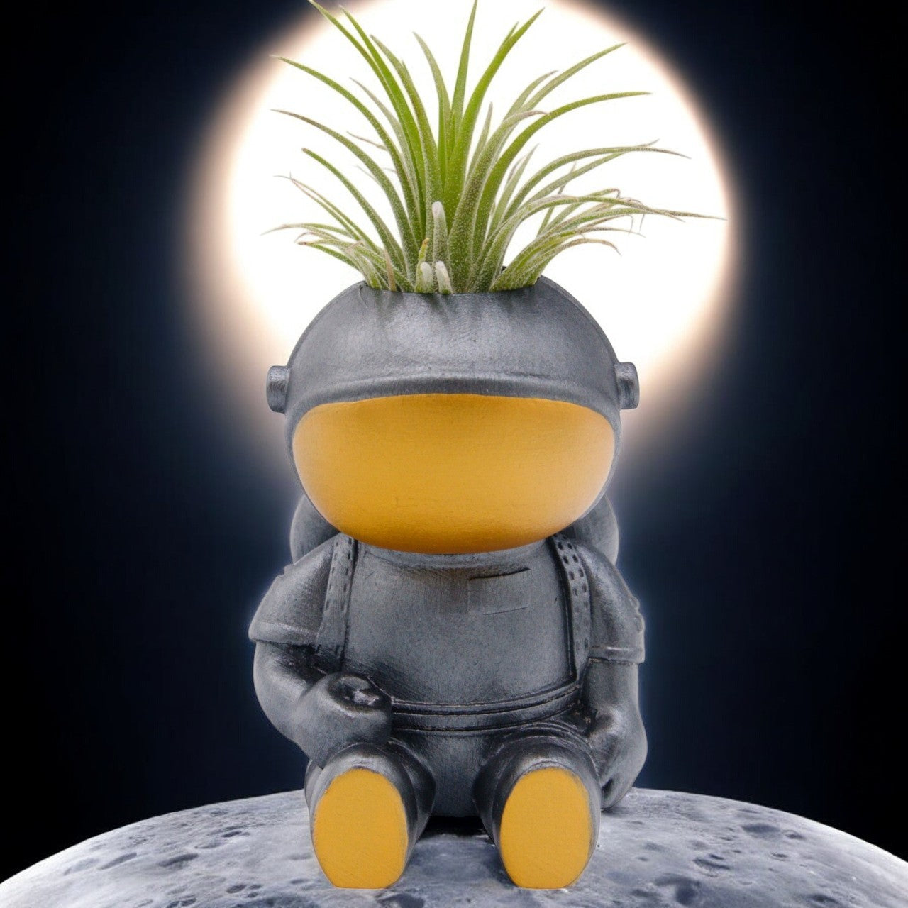 astronaut air plant Astronaut Airplant Pot – Plant Babies Terrariums