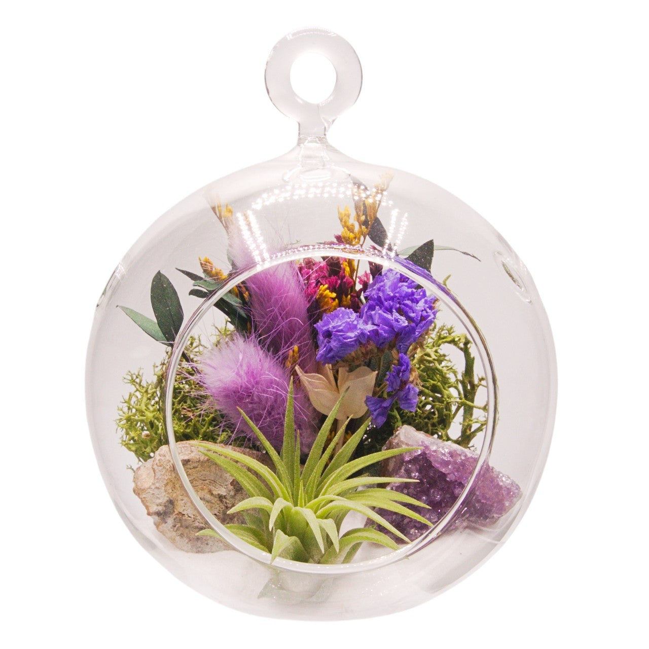 Terrarium à bulles de plante aérienne - Violet