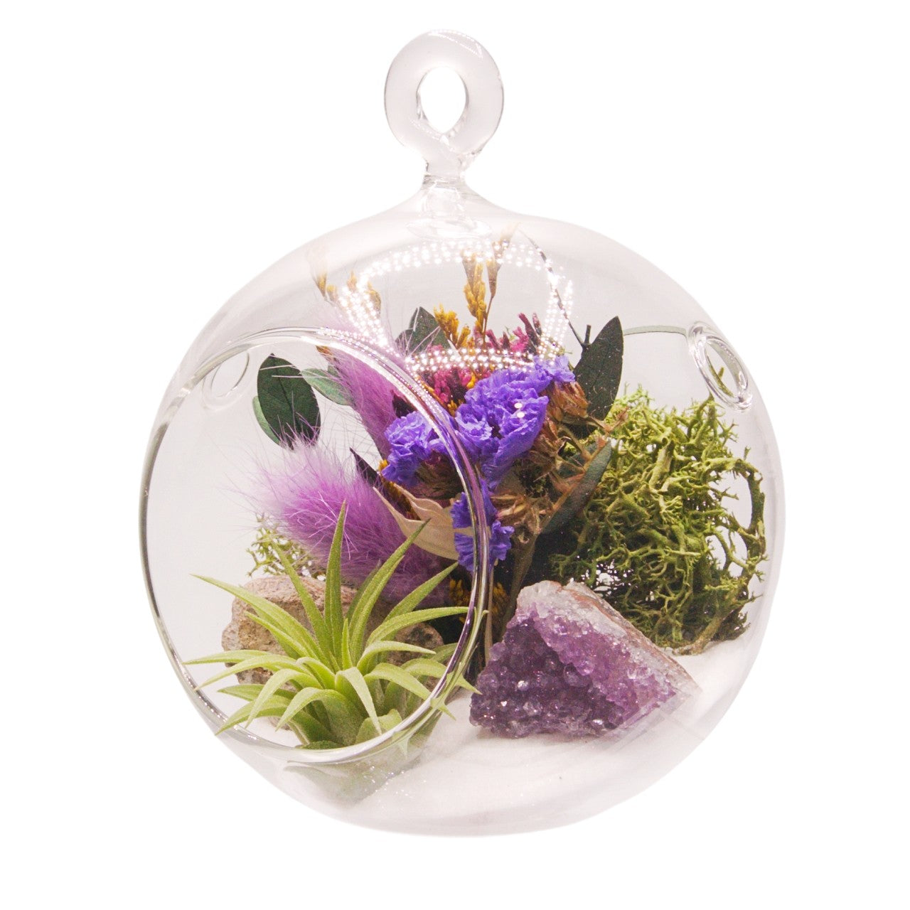 Terrarium à bulles de plante aérienne - Violet