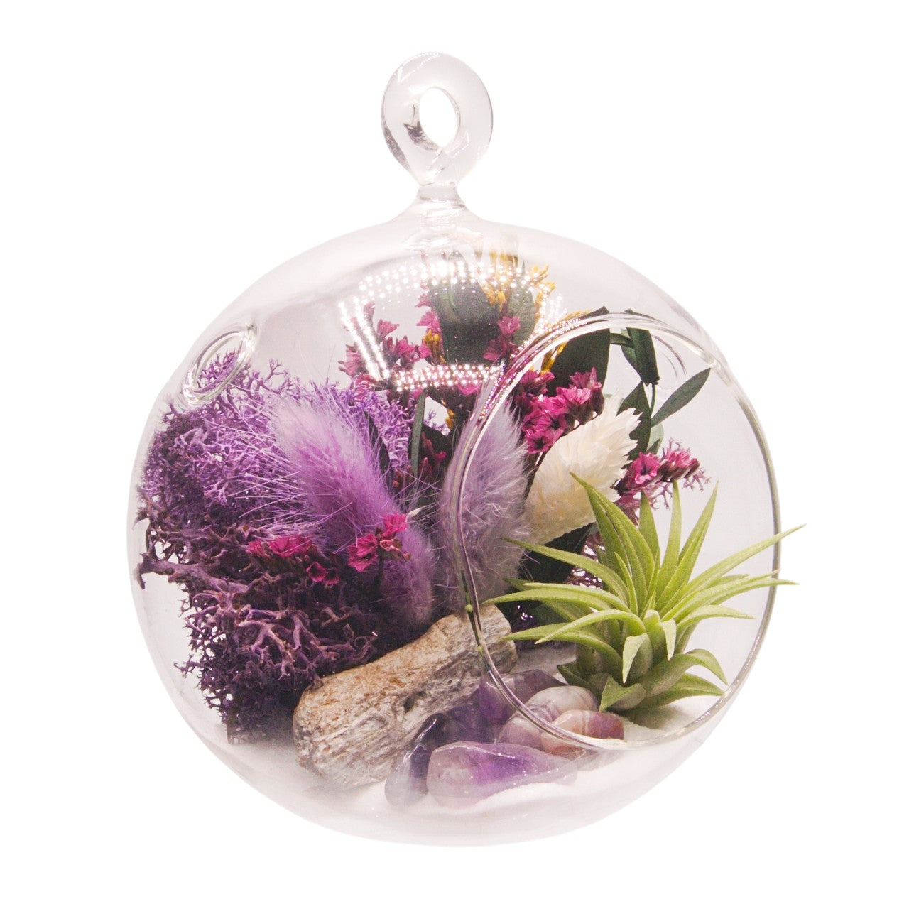 Terrarium à bulles de plante aérienne - Violet