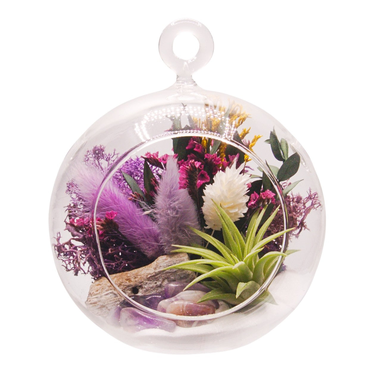 Terrarium à bulles de plante aérienne - Violet