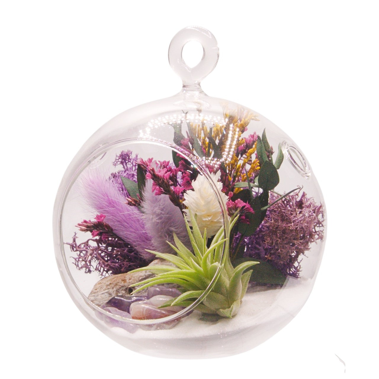 Terrarium à bulles de plante aérienne - Violet