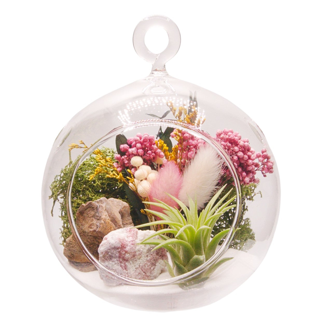 Airplant Bubble Terrarium Small - Pink