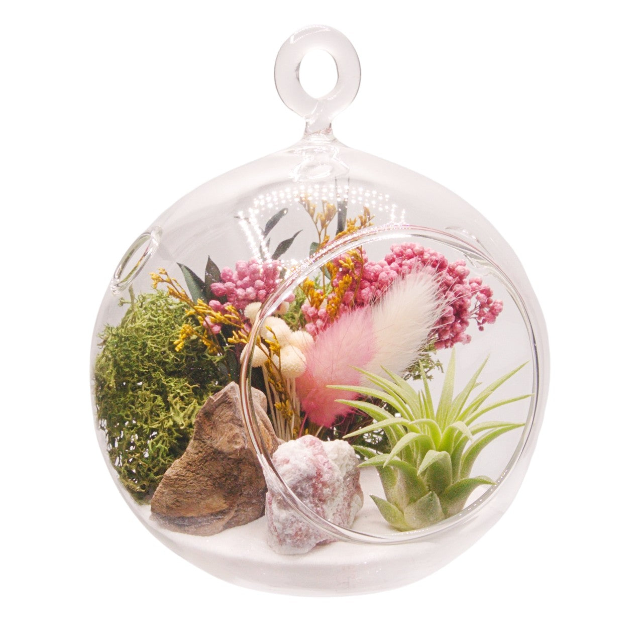 Airplant Bubble Terrarium Small - Pink