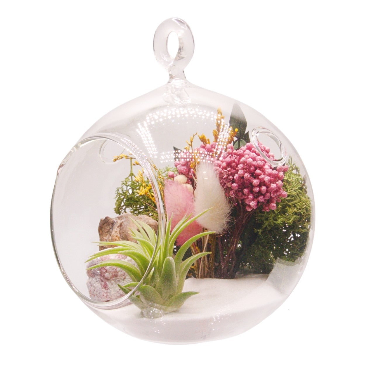 Airplant Bubble Terrarium Small - Pink