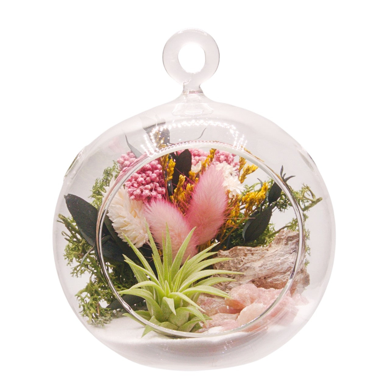 Airplant Bubble Terrarium Small - Pink