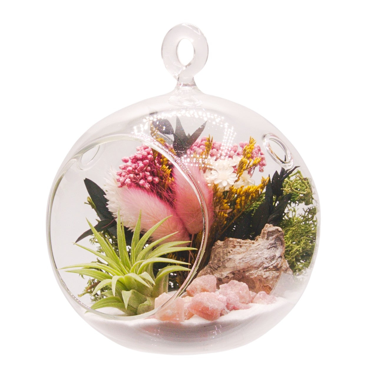 Airplant Bubble Terrarium Small - Pink