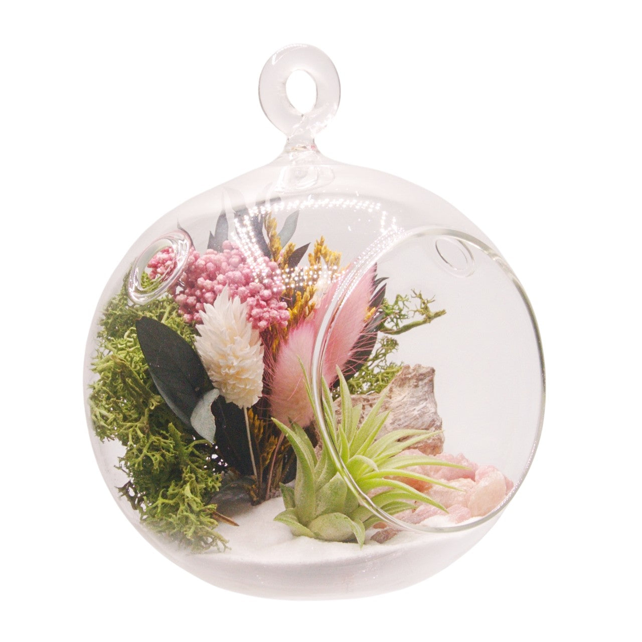 Airplant Bubble Terrarium Small - Pink