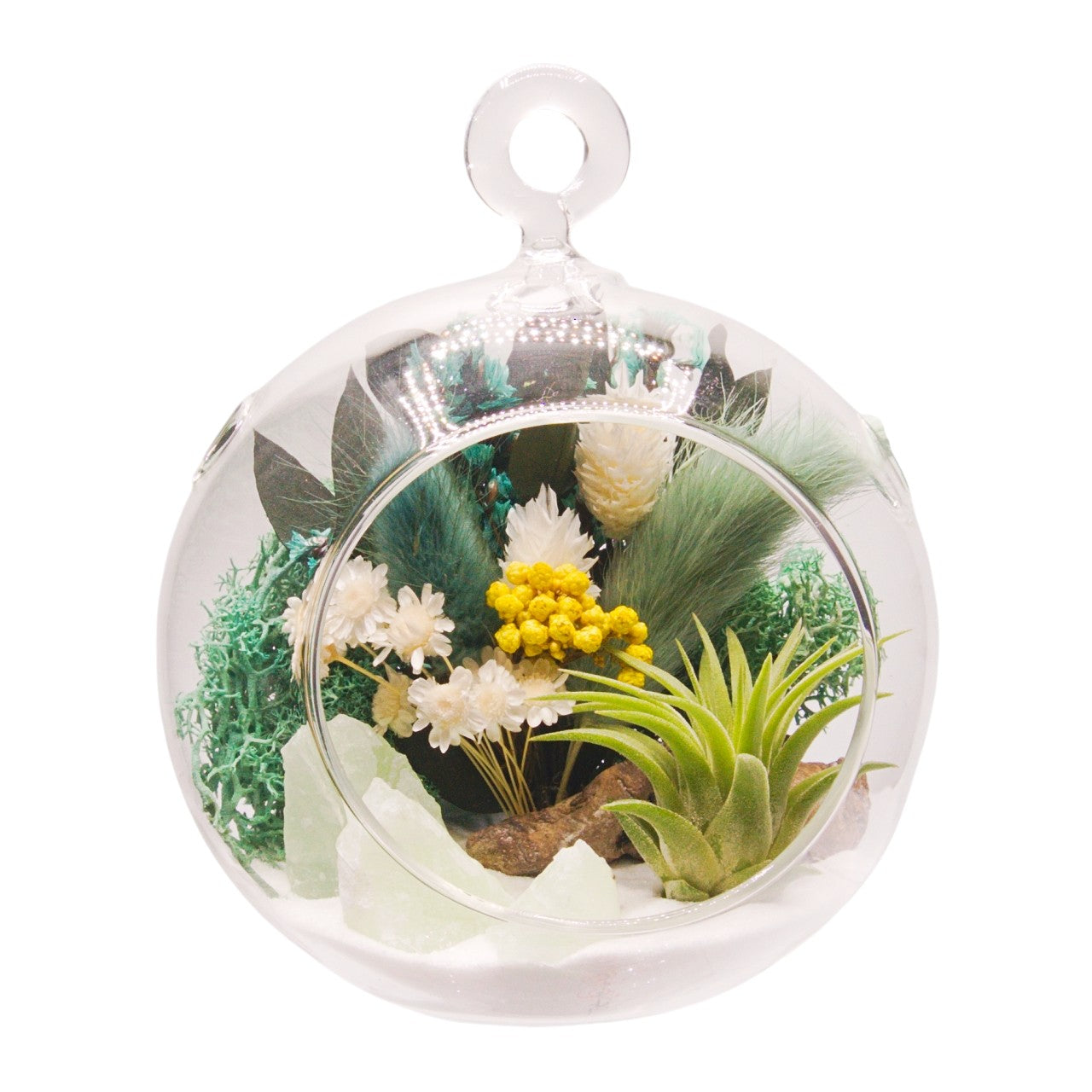 Airplant Bubble Terrarium Small - Turquoise