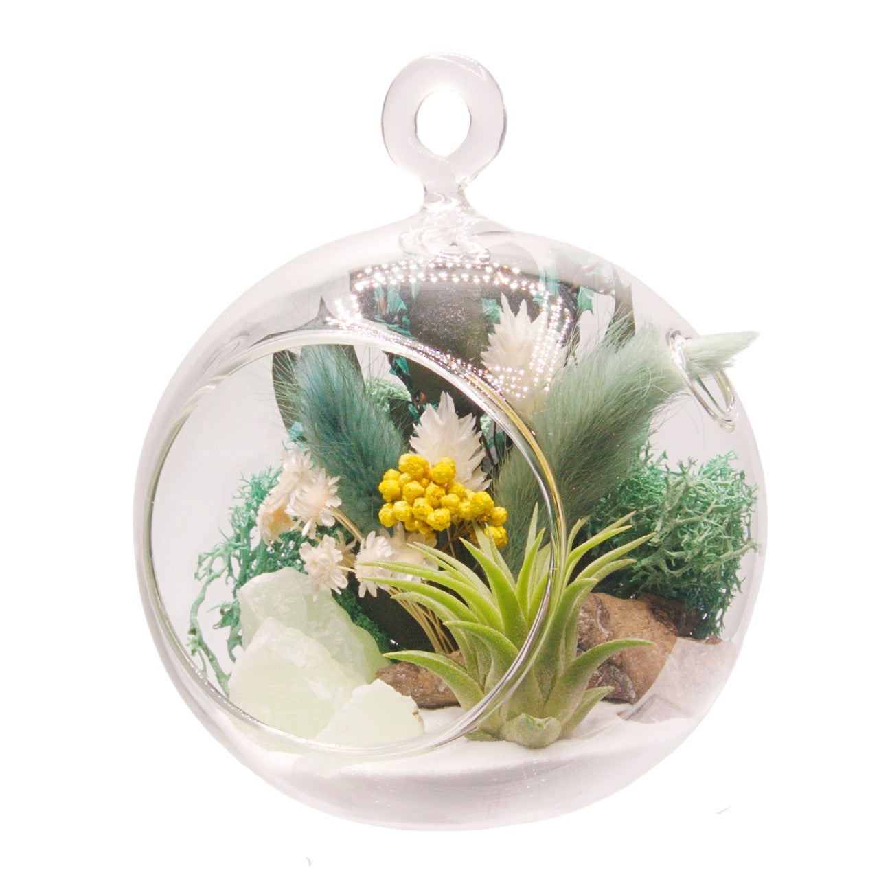 Airplant Bubble Terrarium Small - Turquoise