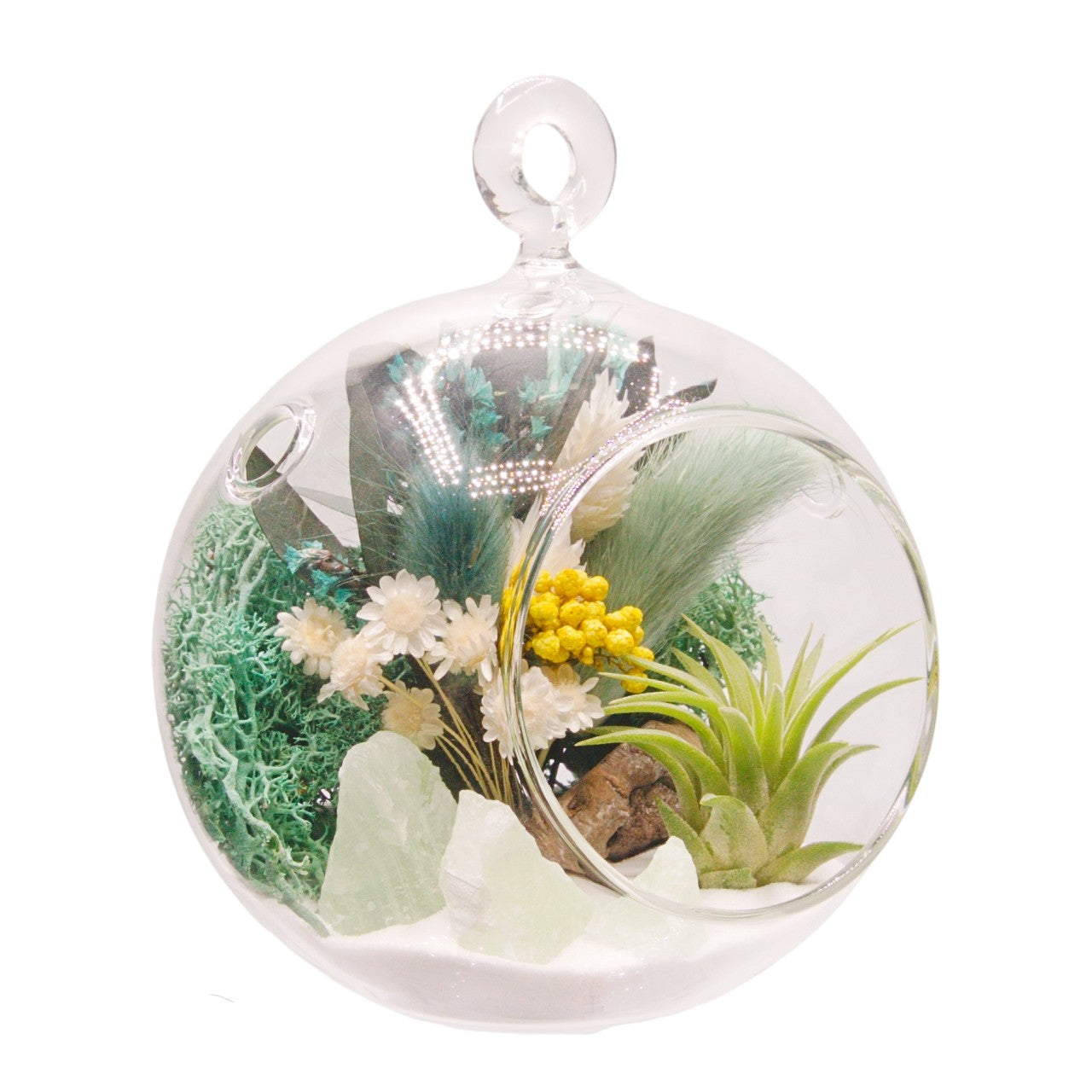 Airplant Bubble Terrarium Small - Turquoise