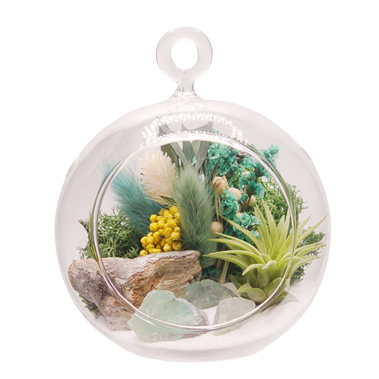 Airplant Bubble Terrarium Small - Turquoise