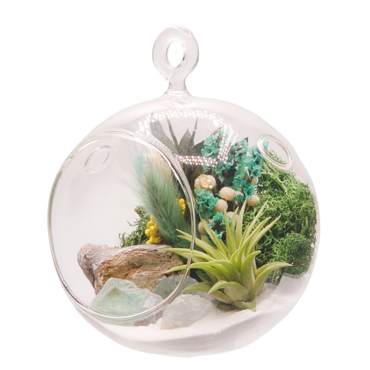 Airplant Bubble Terrarium Small - Turquoise