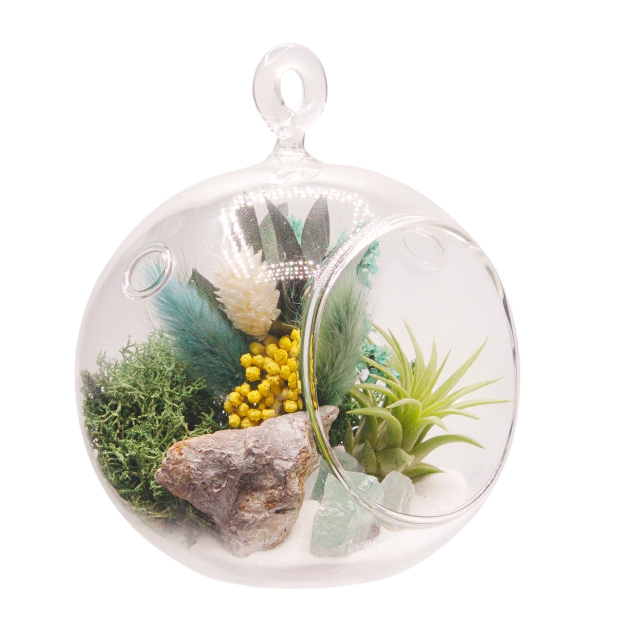 Airplant Bubble Terrarium Small - Turquoise
