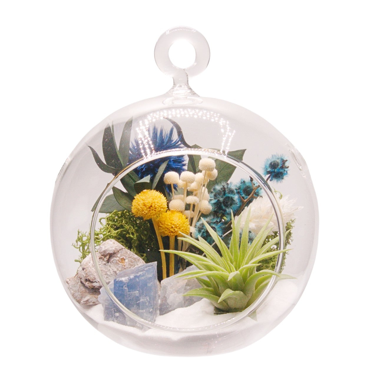 Airplant Bubble Terrarium Small - Blue