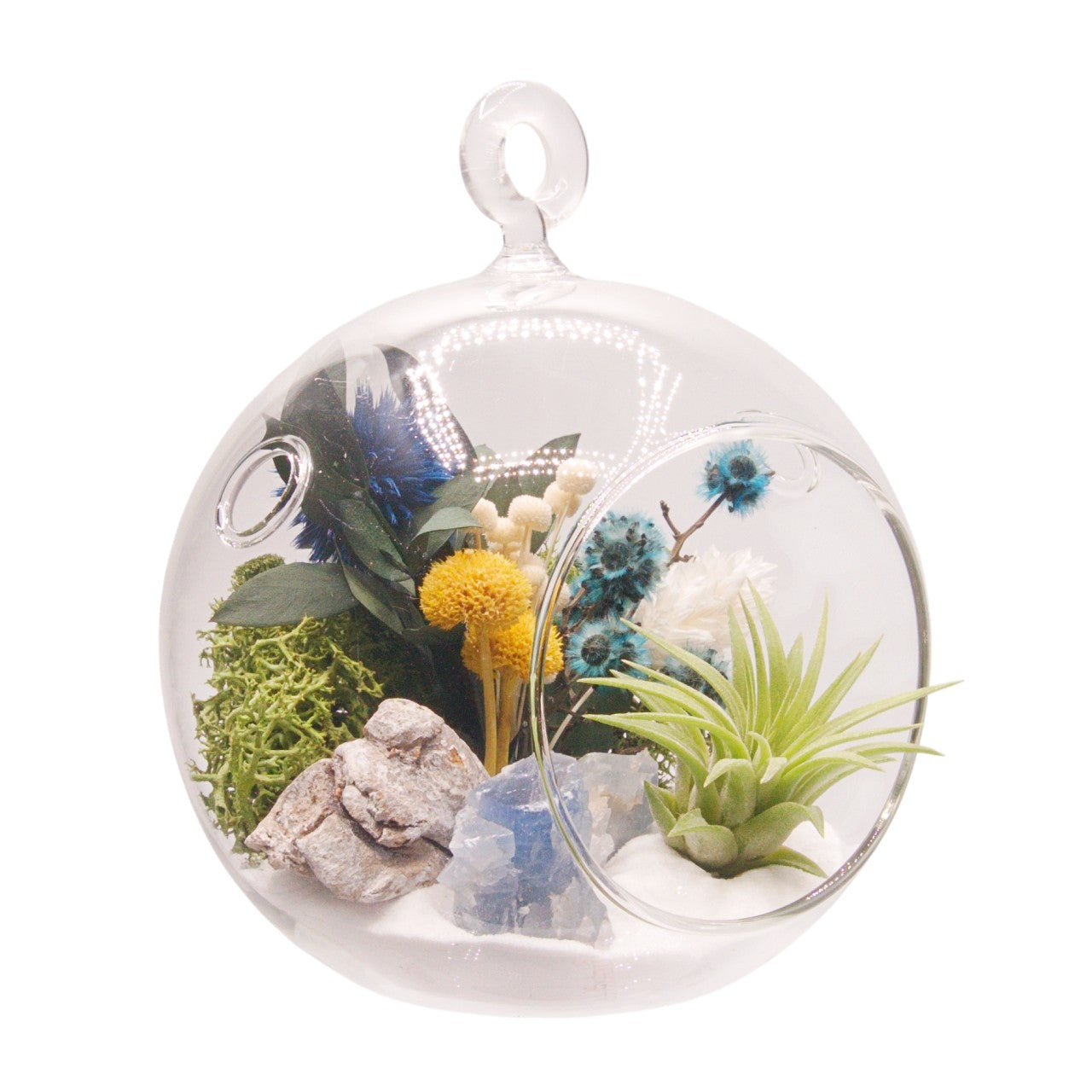 Airplant Bubble Terrarium Small - Blue