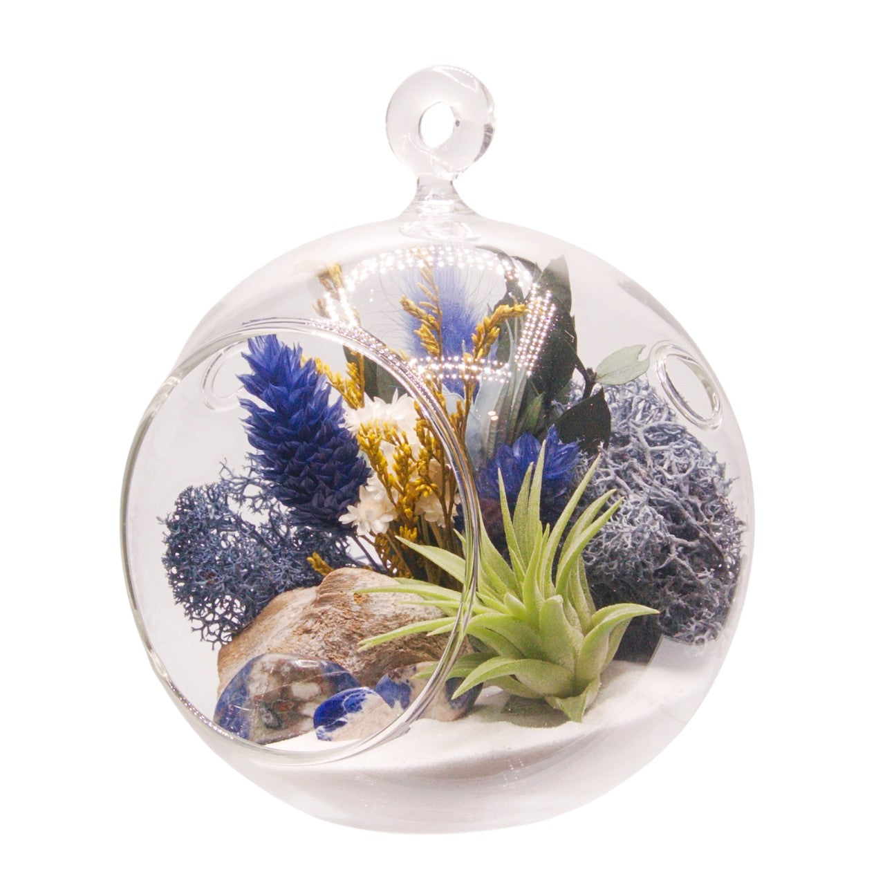 Airplant Bubble Terrarium Small - Blue