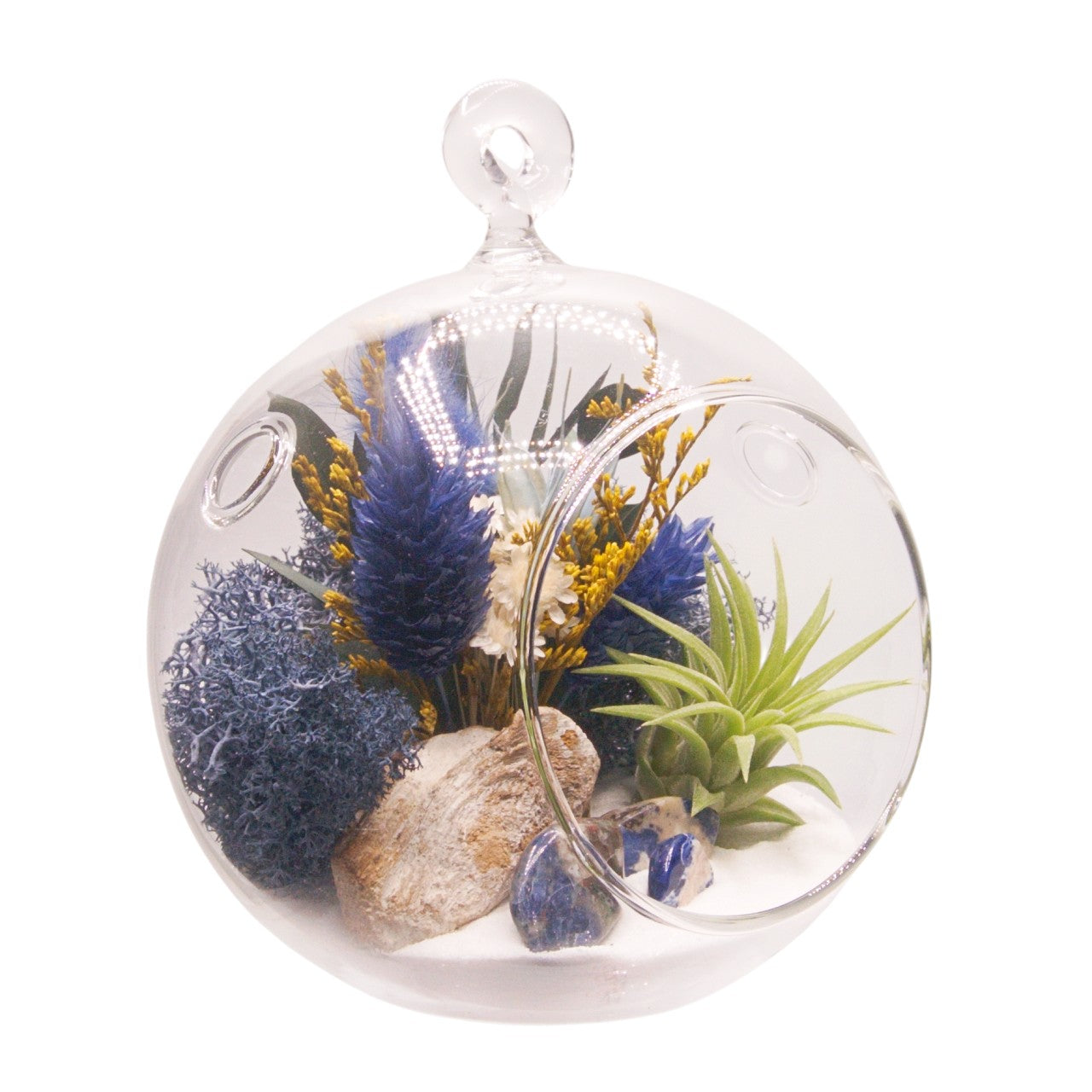Airplant Bubble Terrarium Small - Blue