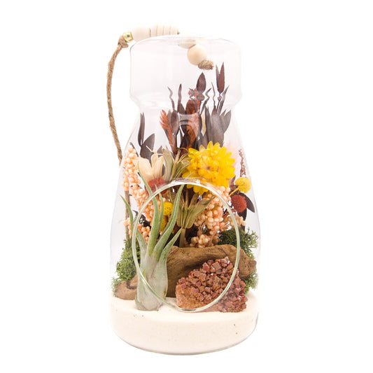 Airplant Bottle Terrarium - Vanadinite crystal