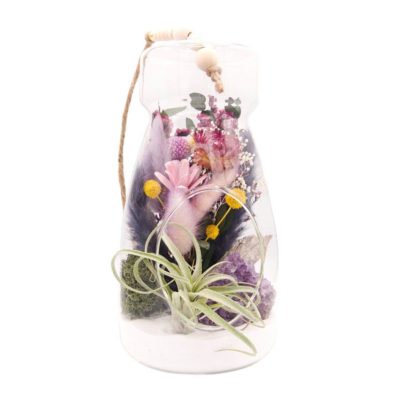Airplant Bottle Terrarium - Amethyst Crystal