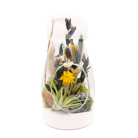 Airplant Bottle Terrarium - Kambaba jasper stone