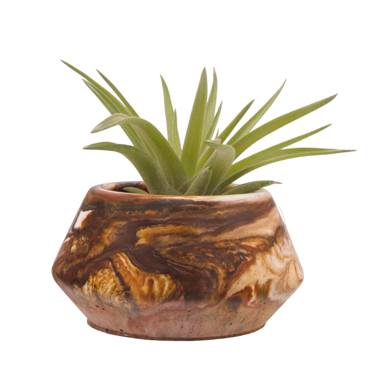 Monique hydrostone airplant pots