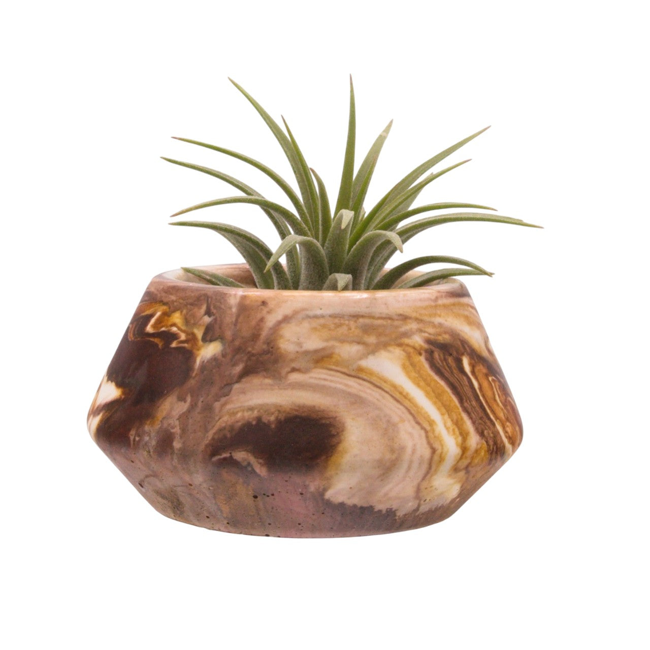Monique hydrostone airplant pots