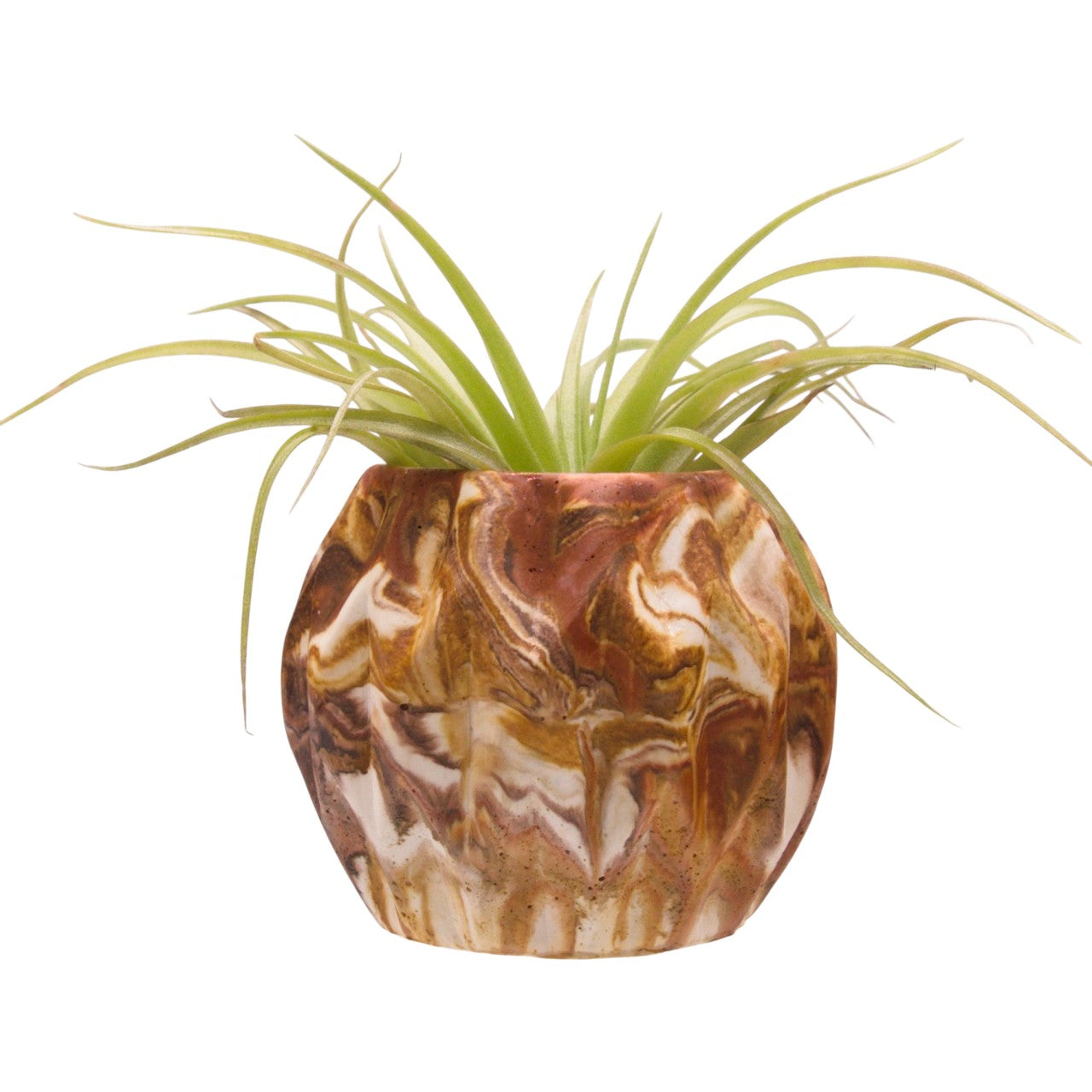Monique hydrostone airplant pots