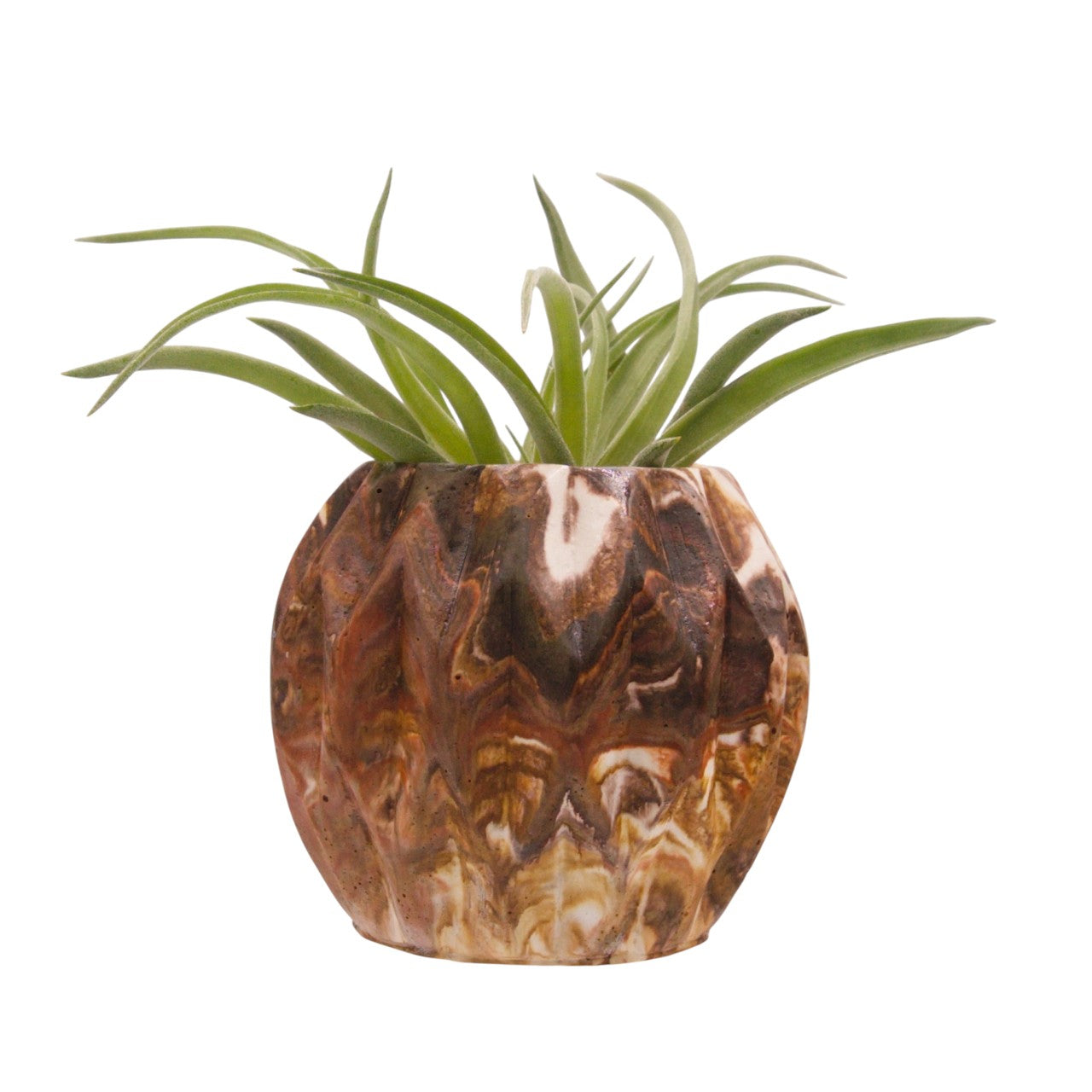 Monique hydrostone airplant pots