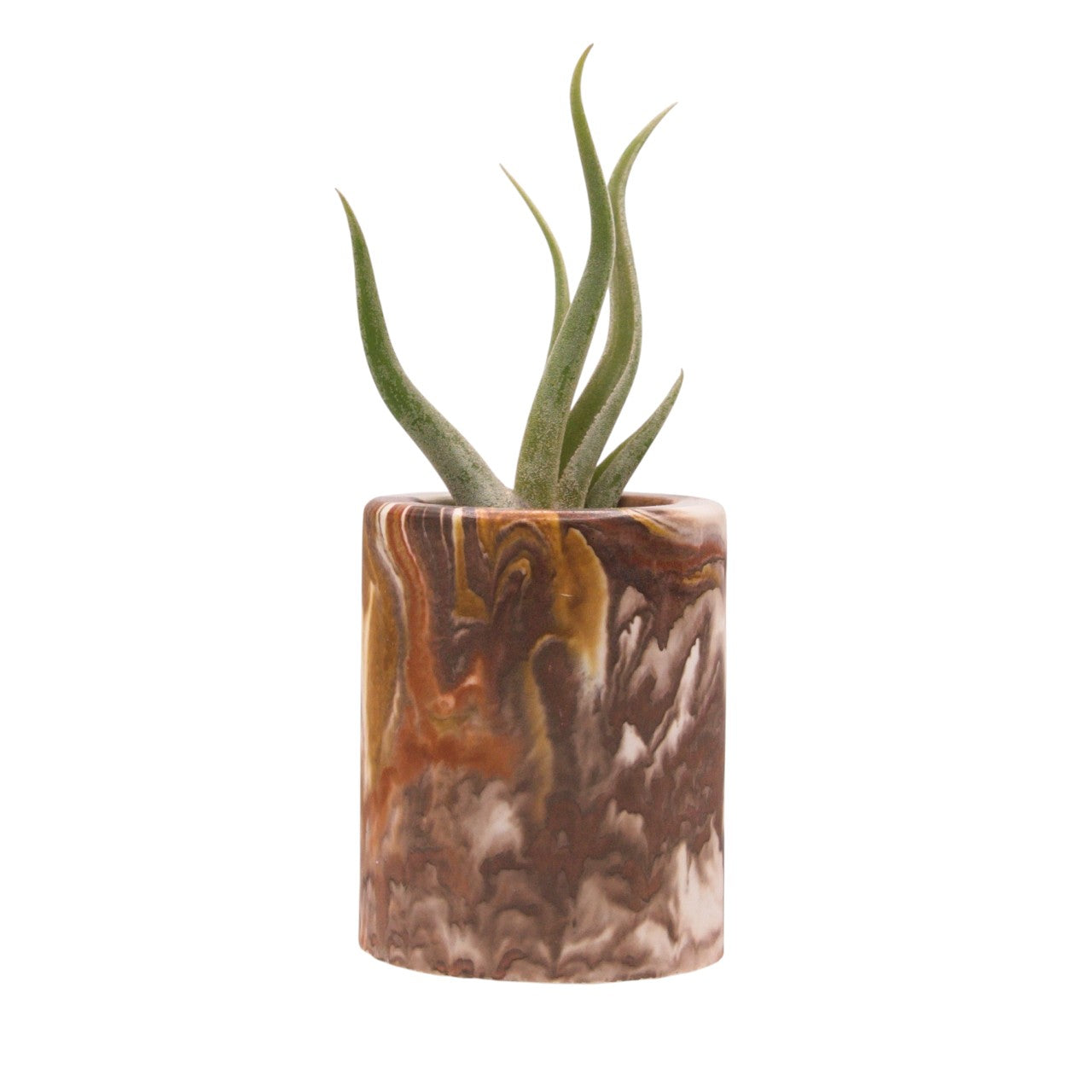 Monique hydrostone airplant pots