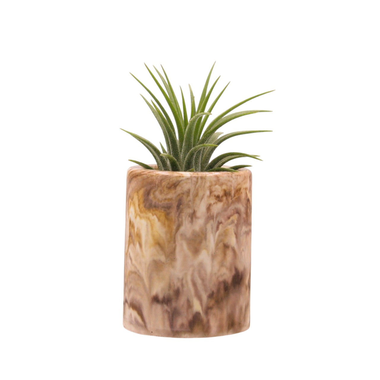 Monique hydrostone airplant pots